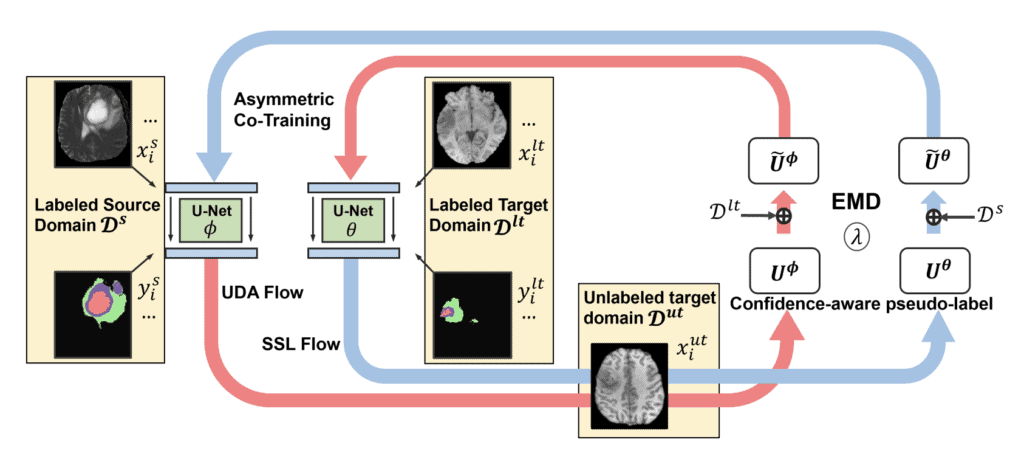 Illustration of our proposed ACT framework for SSDA cross-modality
(e.g., T2-weighted to T1-weighted MRI) image segmentation. N