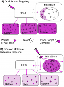 Figure 1: IV Molecular Targeting And Diffusion Molecular Retention (DMR) Molecular Targeting.