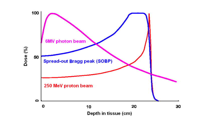 Photon and proton beam doses vs depth